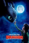 دانلود انیمیشن How to Train Your Dragon 1 2010 چگونه اژدهای خود را تربیت کنیم 1