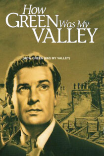 دانلود فیلم How Green Was My Valley 1941 دره من چه سرسبز بود