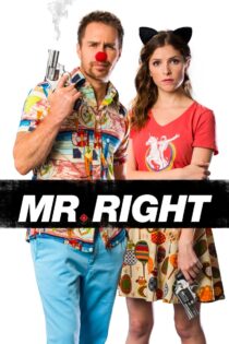 دانلود فیلم Mr. Right 2015 آقای مطلوب